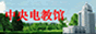 中央电化教育馆